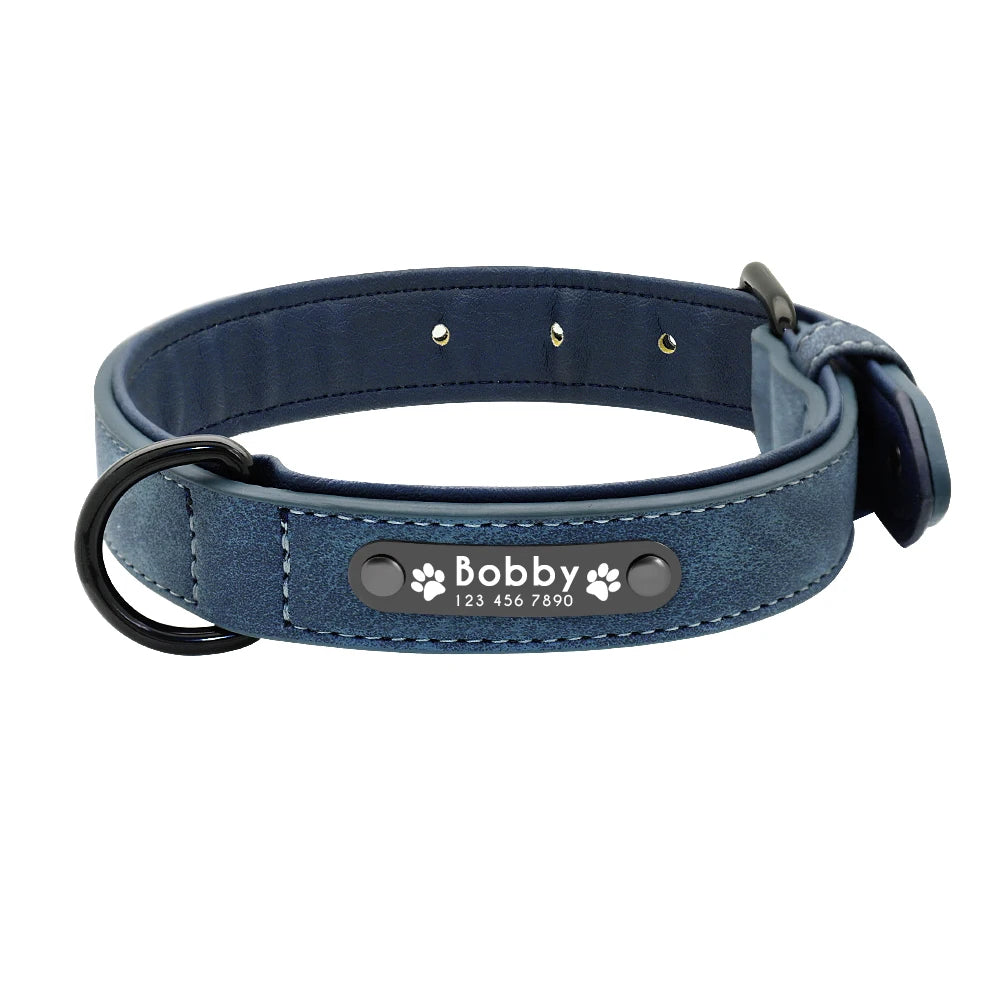 Personalized dog collar – Individual leather collars with inner padding & pet ID – For small, medium and large dogs (e.g. Pitbull, Bulldog)