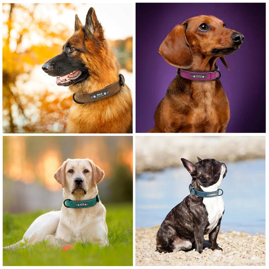 Personalisiertes Hundehalsband – Individuelle Leder-Halsbänder mit Innenpolsterung & Haustier-ID – Für kleine, mittlere und große Hunde (z. B. Pitbull, Bulldogge)