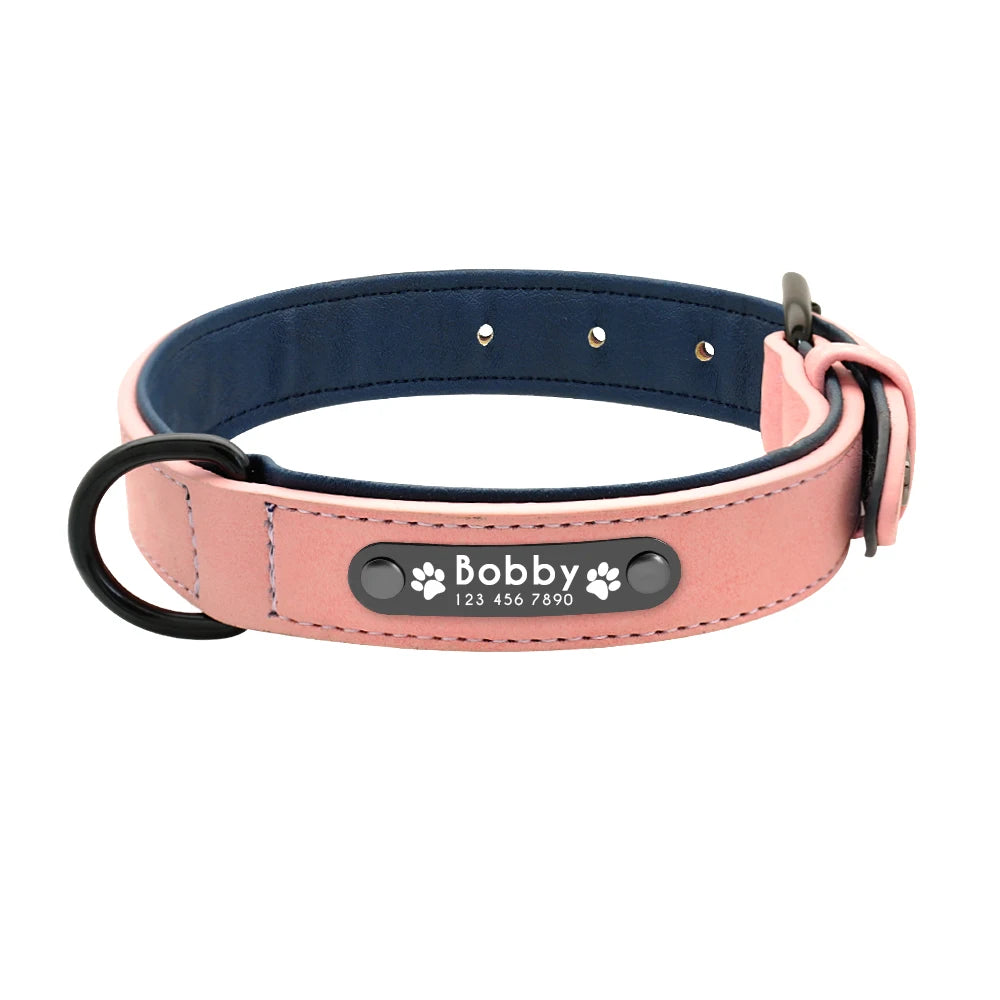 Personalized dog collar – Individual leather collars with inner padding & pet ID – For small, medium and large dogs (e.g. Pitbull, Bulldog)