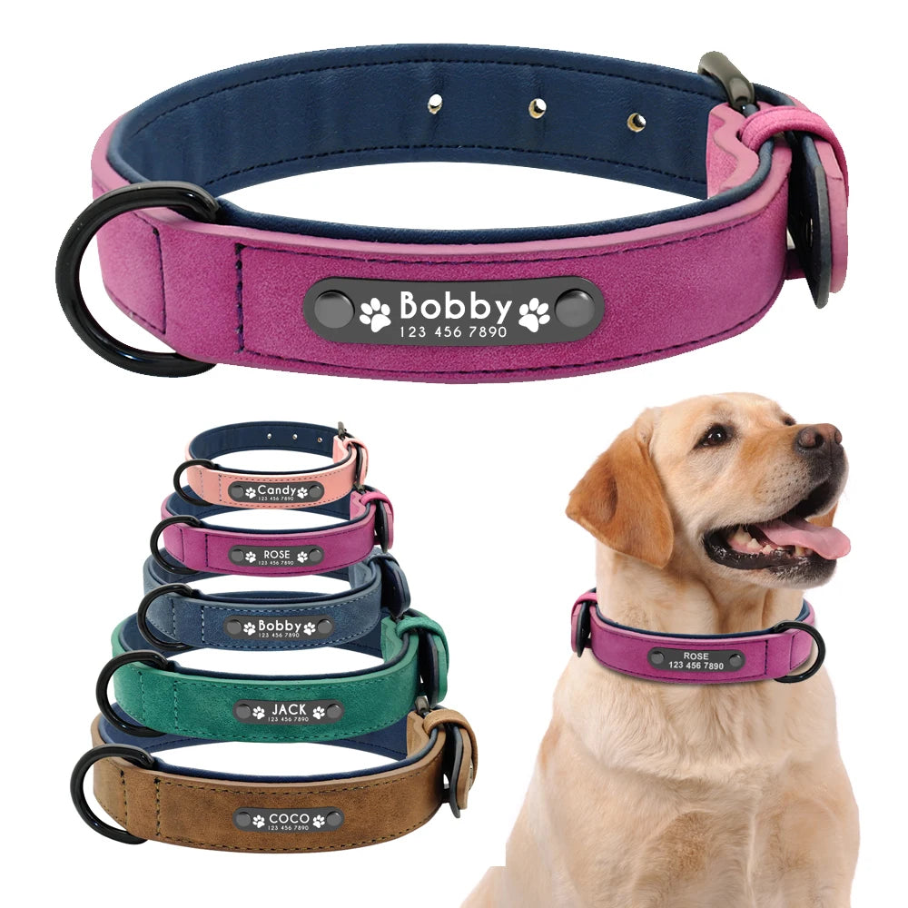 Personalized dog collar – Individual leather collars with inner padding & pet ID – For small, medium and large dogs (e.g. Pitbull, Bulldog)