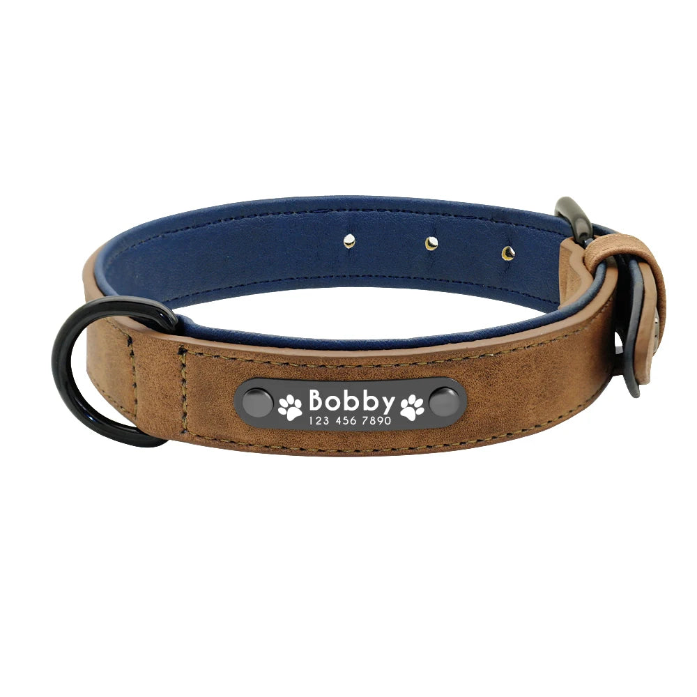 Personalized dog collar – Individual leather collars with inner padding & pet ID – For small, medium and large dogs (e.g. Pitbull, Bulldog)