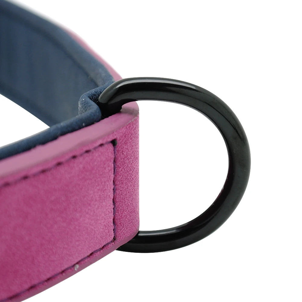 Personalized dog collar – Individual leather collars with inner padding & pet ID – For small, medium and large dogs (e.g. Pitbull, Bulldog)