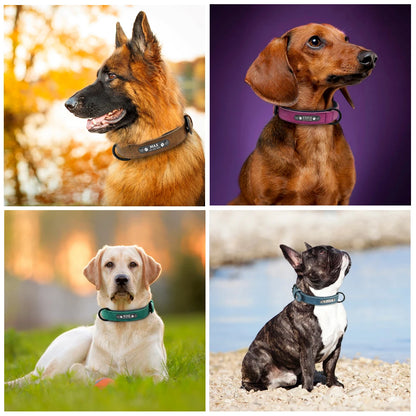 Personalized dog collar – Individual leather collars with inner padding & pet ID – For small, medium and large dogs (e.g. Pitbull, Bulldog)