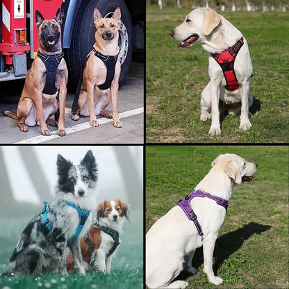 Truelove Reflective Nylon Dog Harness - No-Pull Harness for Small, Medium and Large Dogs, Padded and Breathable Service Dog Vest, Soft and Adjustable.